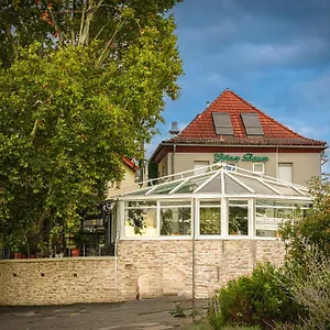 https://zum-grunen-baum.frankfurtammainhotels.com